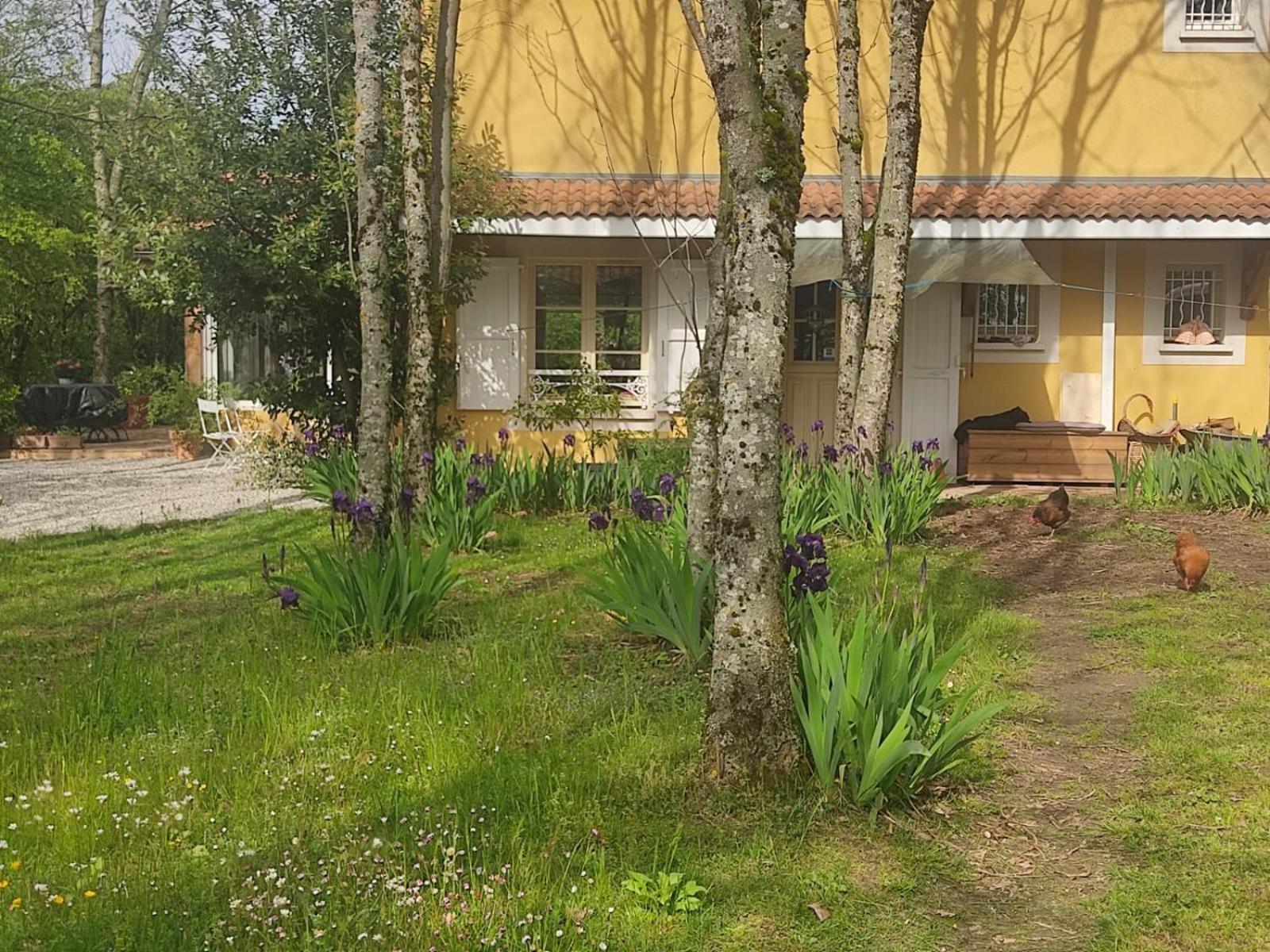 La Frenaie Bed & Breakfast Saint-Cyr-sur-le-Rhone ภายนอก รูปภาพ