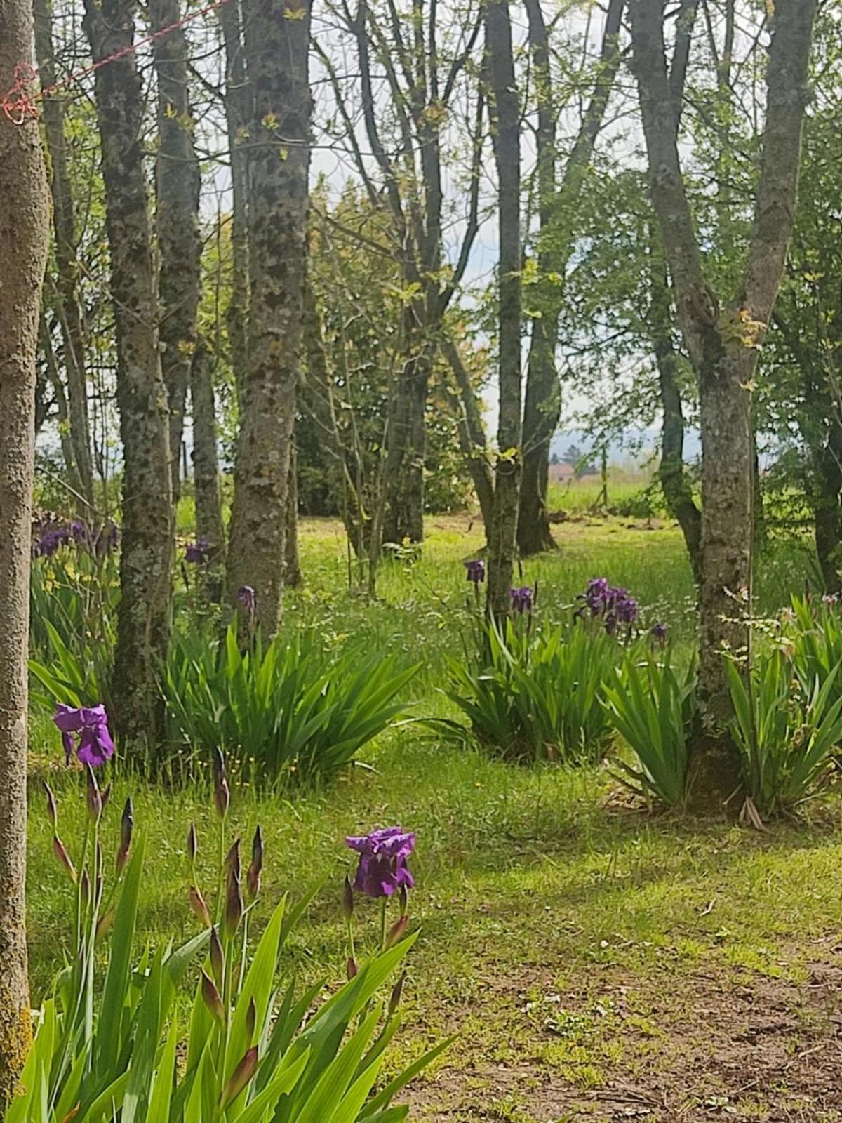 La Frenaie Bed & Breakfast Saint-Cyr-sur-le-Rhone ภายนอก รูปภาพ